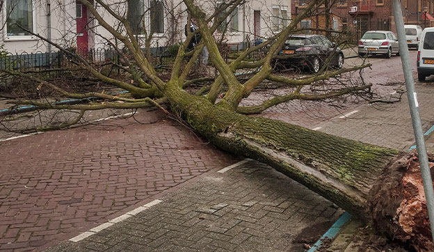 stormschade